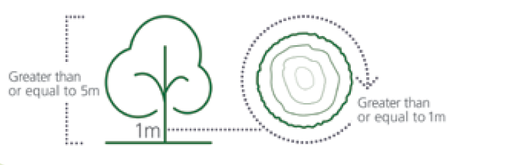 diagram of protected tree sizes