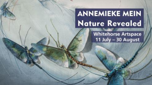 image of annemieke mein artwork
