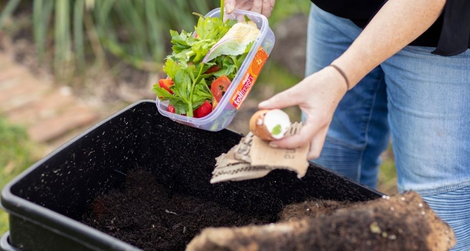 Gardening, Attracting Wildlife to Your Garden and Home Composting