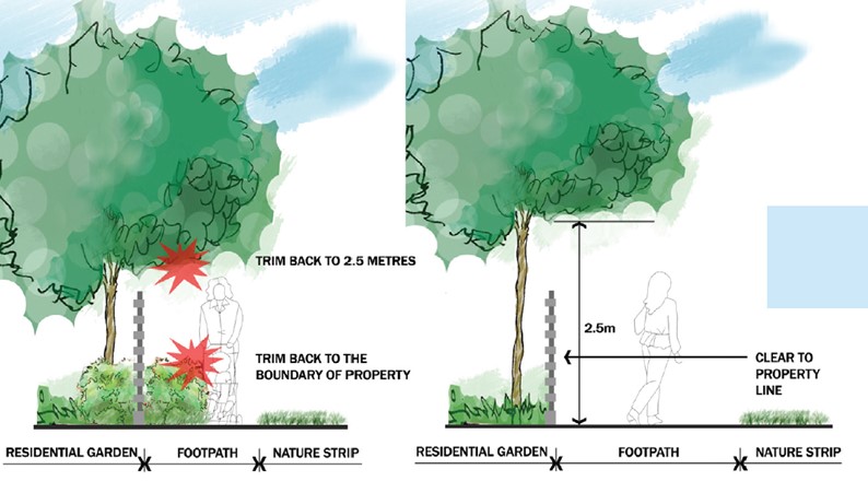 Overhanging vegetation requirements diagram