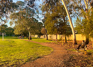 Terrara Park perimeter walking track