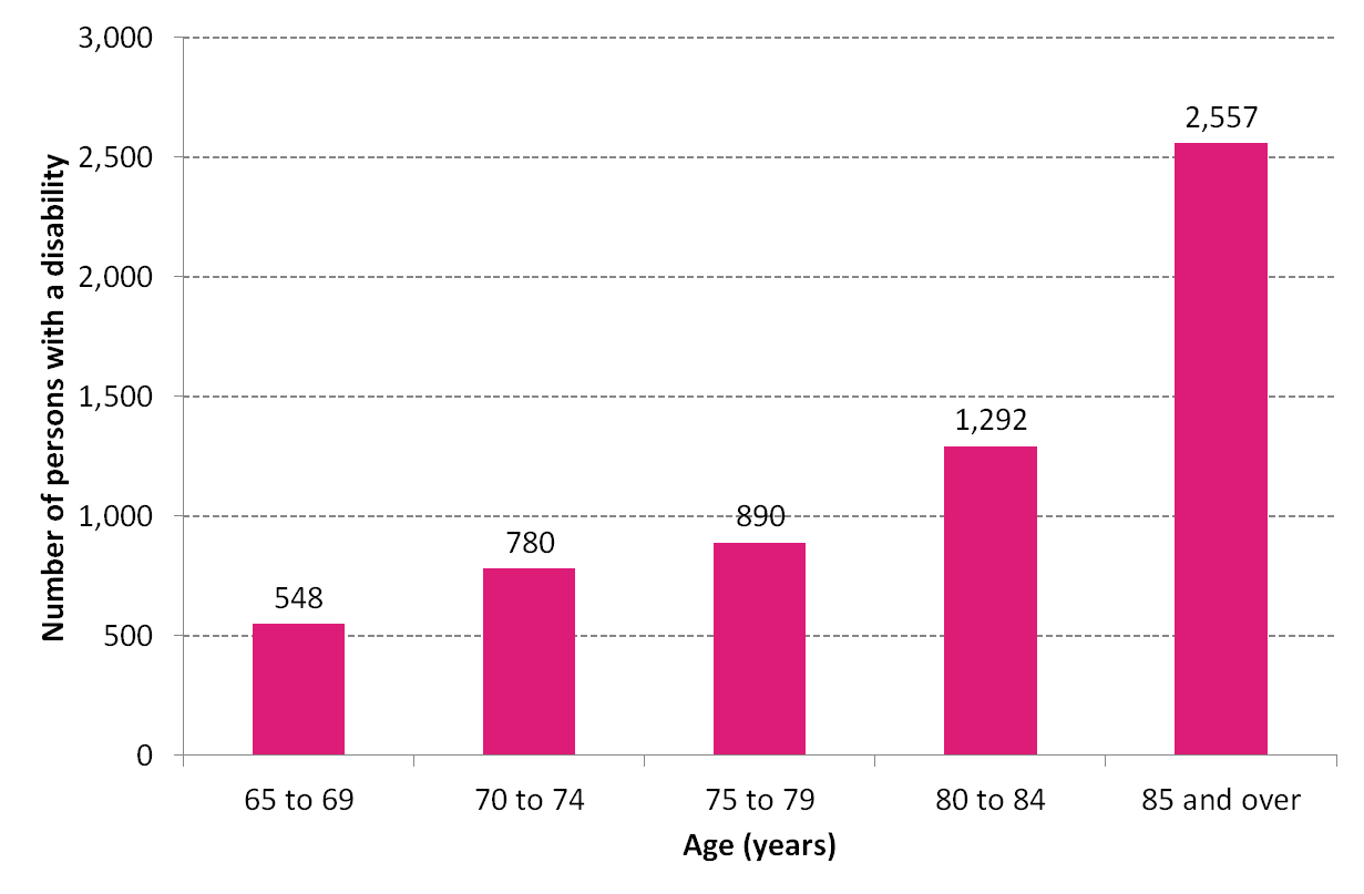 Figure 3 Number of persons with a disability, by age