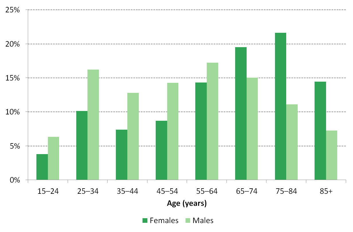 Figure 4 Lone person households by age and gender