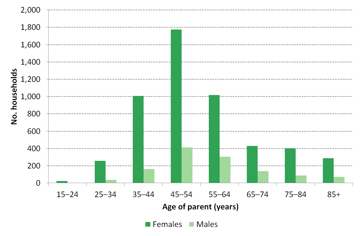 Figure 5 Lone parent households by sex