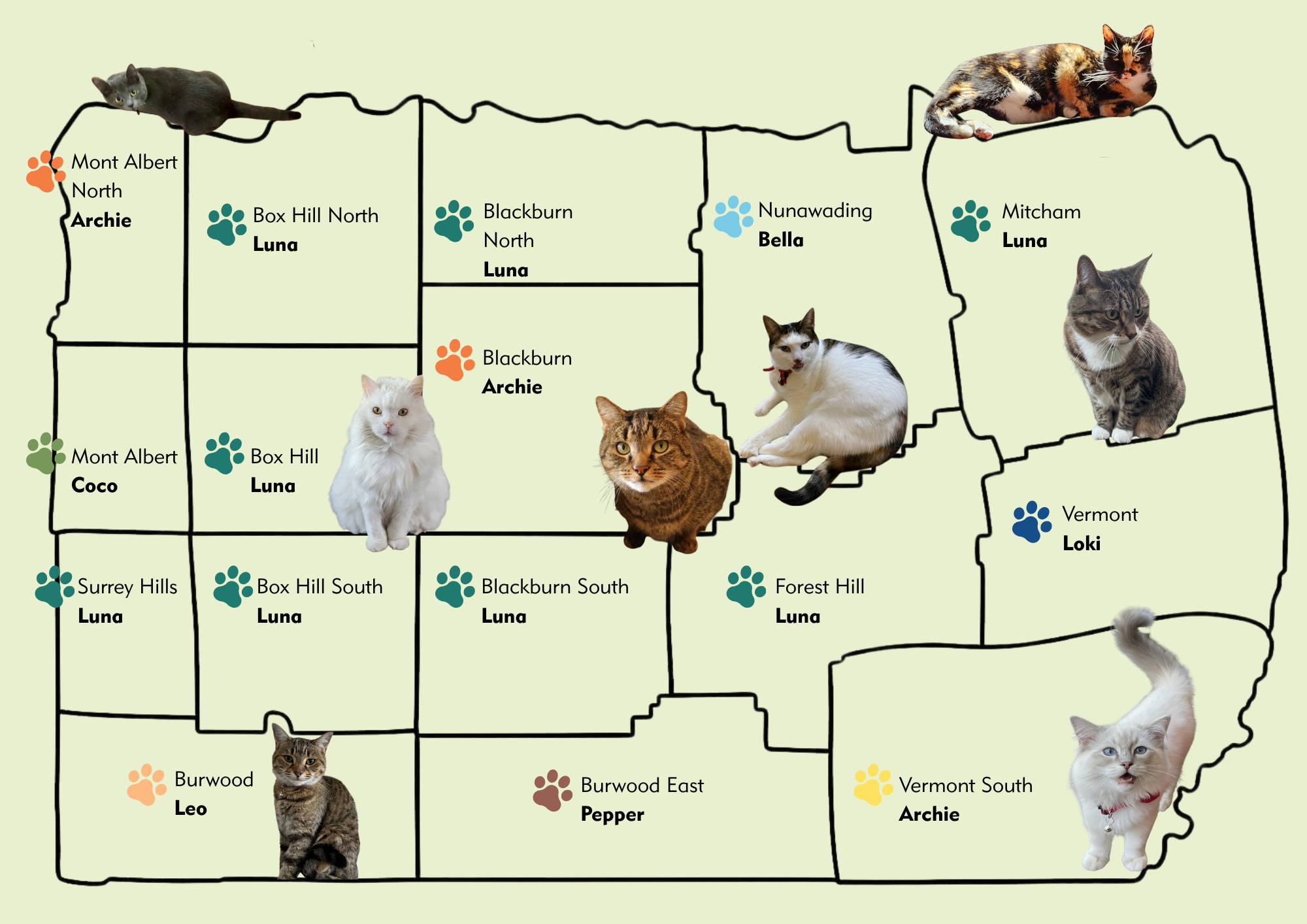 Cat names across Whitehorse