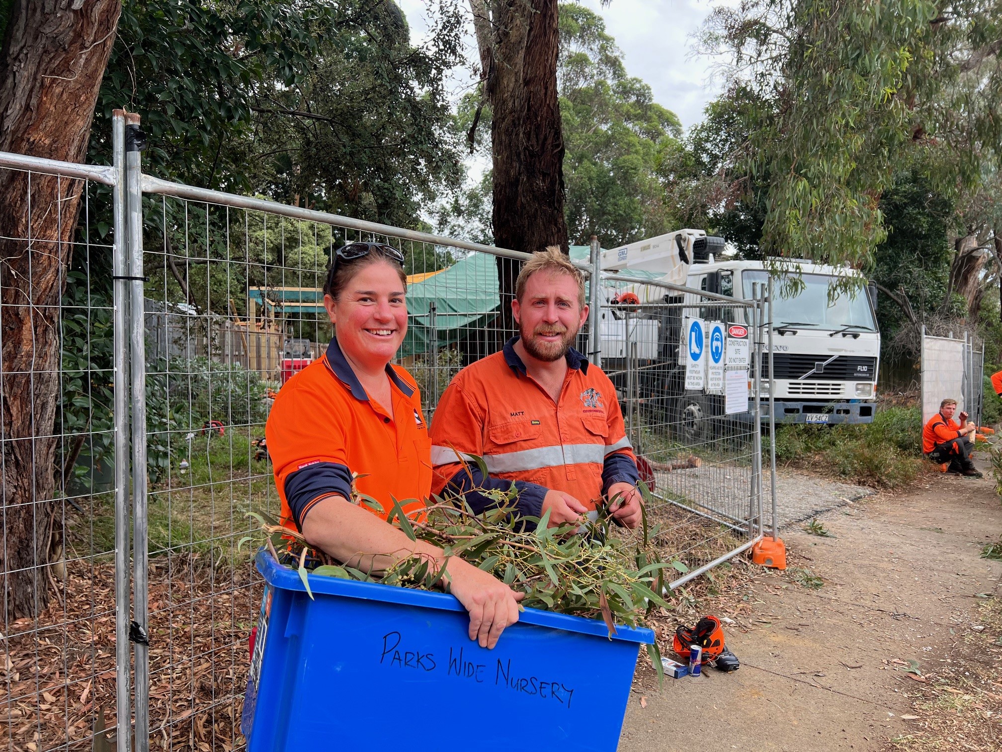 Council Nursery staff member and arborist