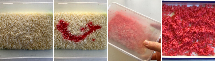 rice play