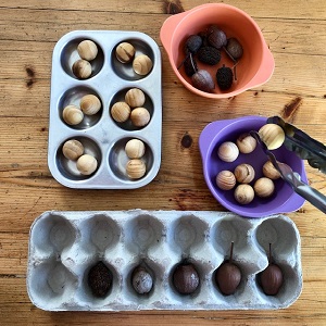 sorting trays 1