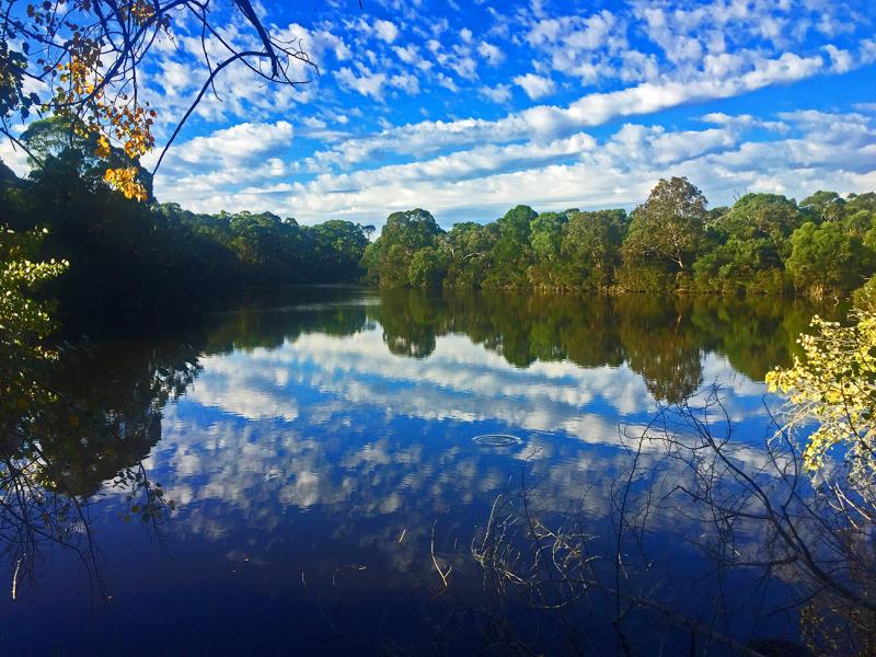 Blackburn Lake Sanctuary