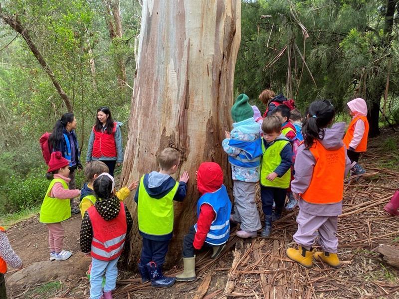 ELC children at Yarran Dheran hug tree