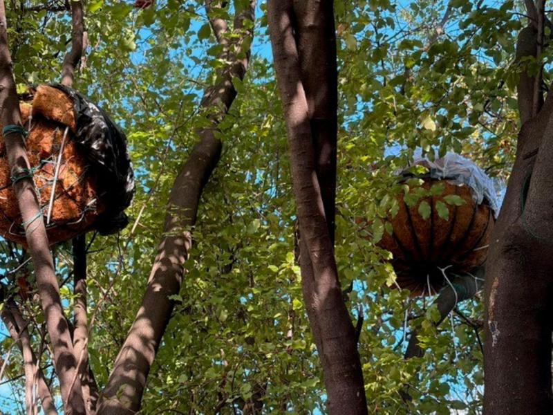 2 DIY Possum Dreys in the Tree