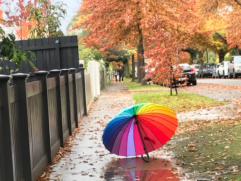 Susan Whelan - Rainbow After Storm