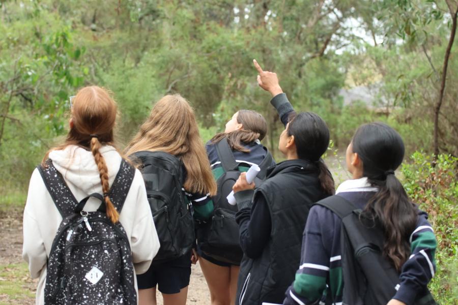 Secondary students learning outdoors