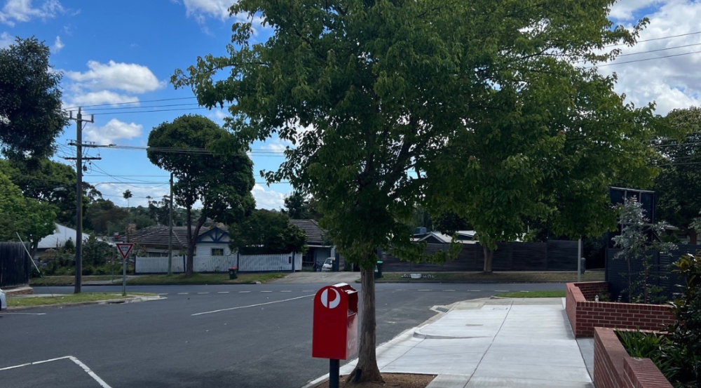 Small tree in front of a postbox