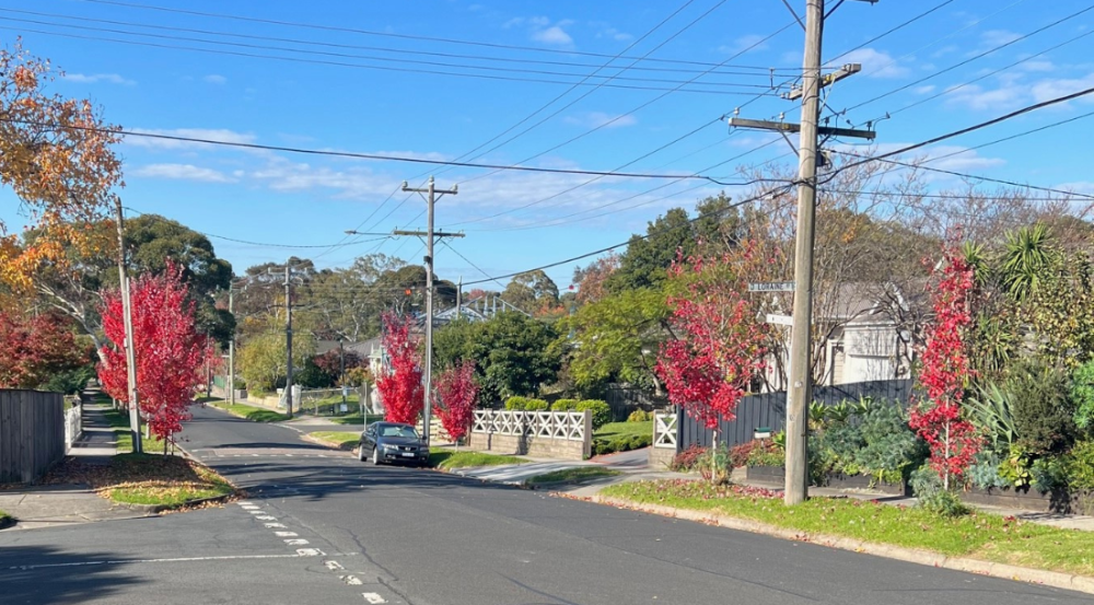 Streetscape with autumn foliage