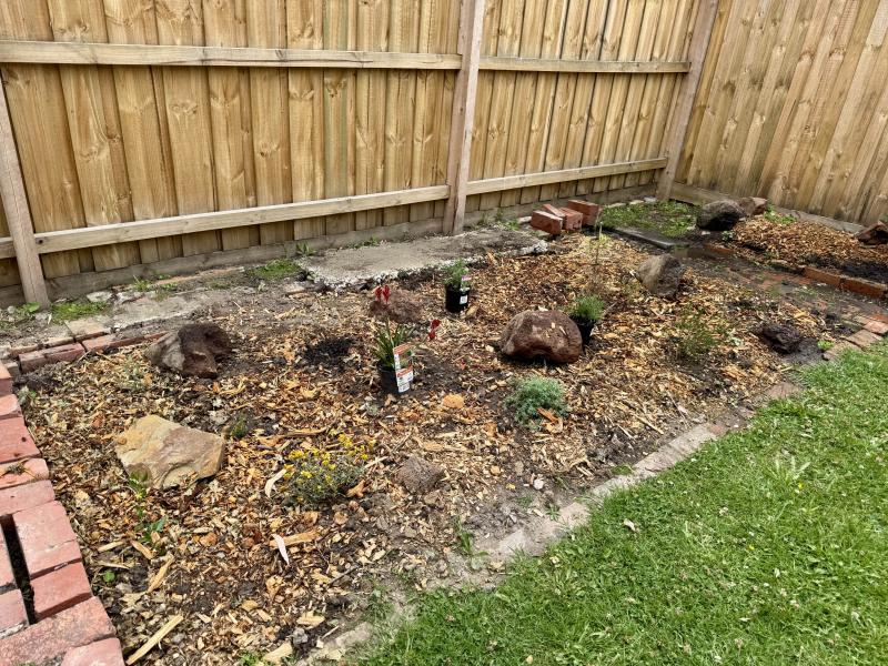 Newly planted garden bed