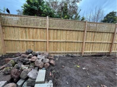 garden in progress