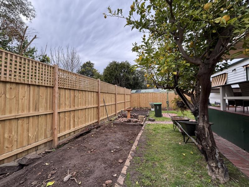Bare garden bed