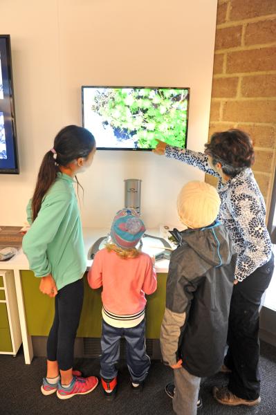 Family using microscope at Blackburn Lake Sanctuary Visitor Centre
