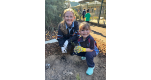 students planting