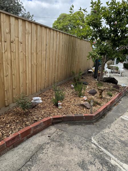 Newly planted garden bed