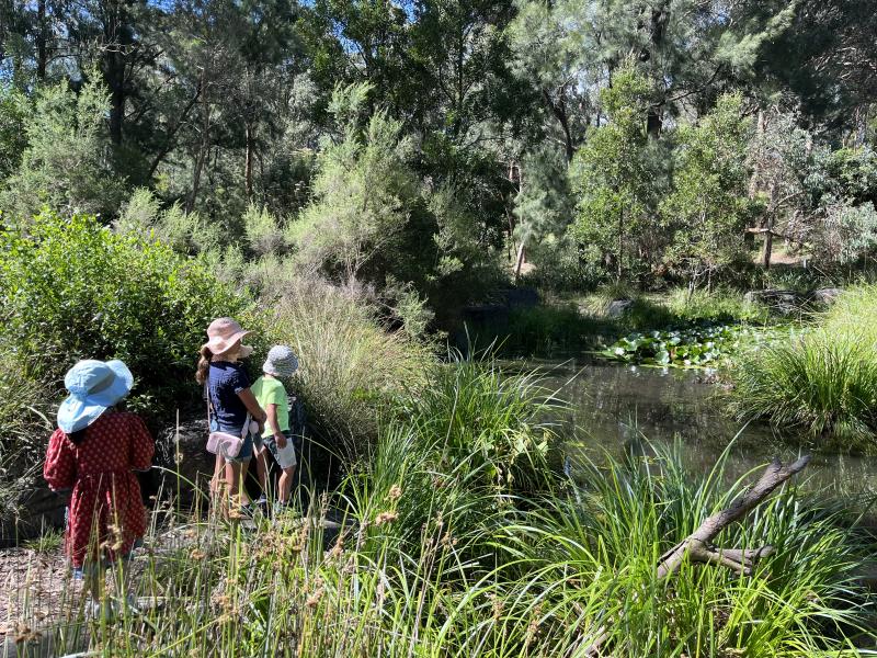 Children looking at the pond at Yarran Dheran 