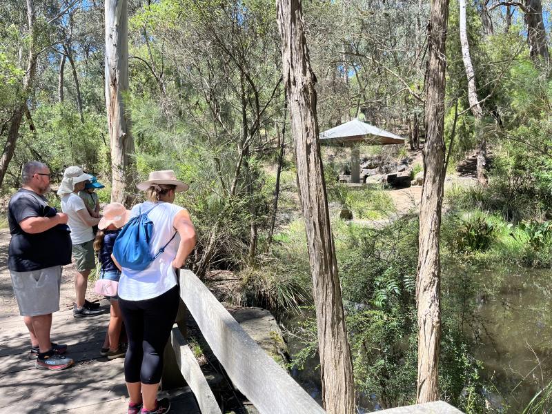 Lower pond bridge and picnic shelter at Yarran Dheran