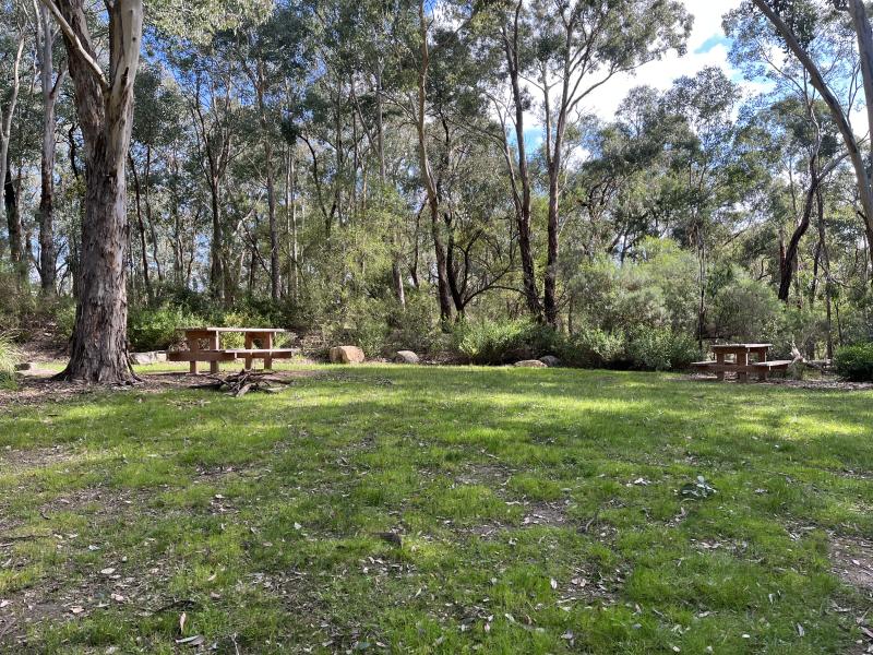 Lawn and picnic tables at Yarran Dheran