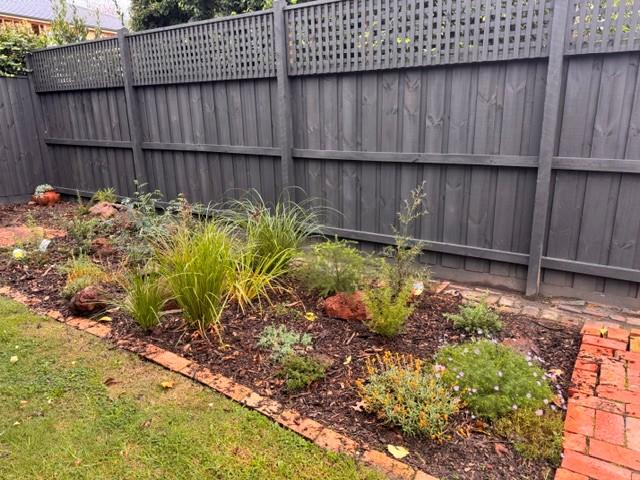 new garden