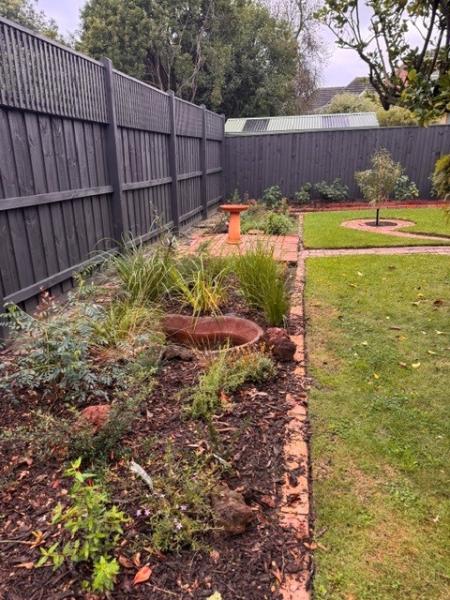 new garden