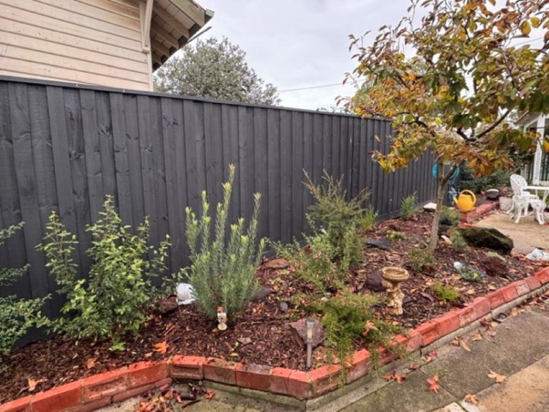 Garden bed filled with natives