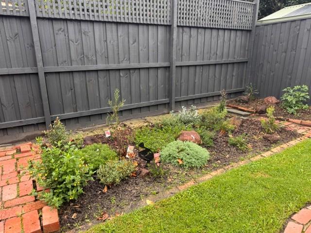 new garden