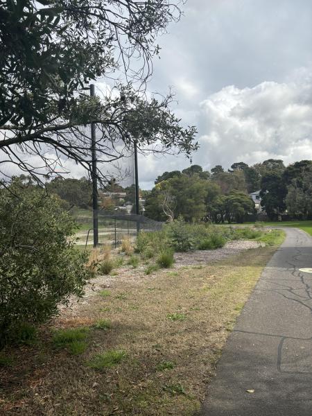 9 months after planting photo of the national tree day site, located at the eastern end of gardiners creek trail