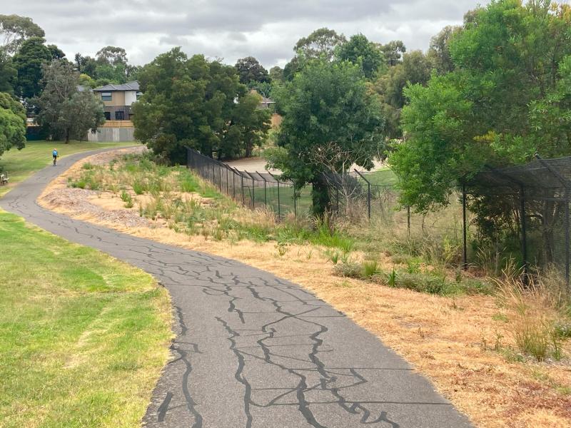 After planting photo of the national tree day site, located at the western end of gardiners creek trail