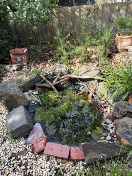 Home made pond