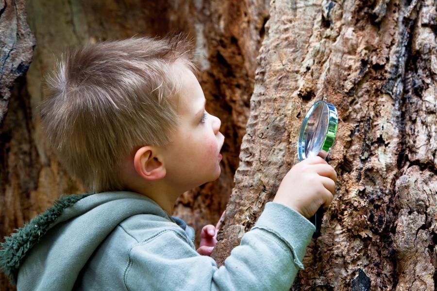 Preschool child with magnifying glass
