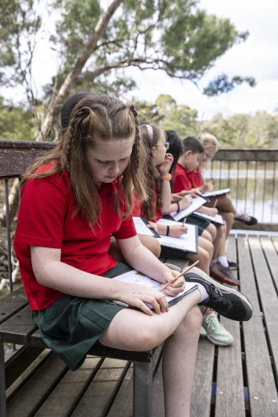 Primary student drawing at Blackburn lake Sanctuary 