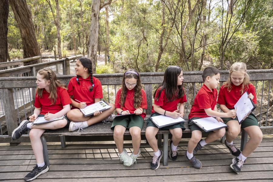 Primary school students at the landing at Blackburn Lake Sanctuary