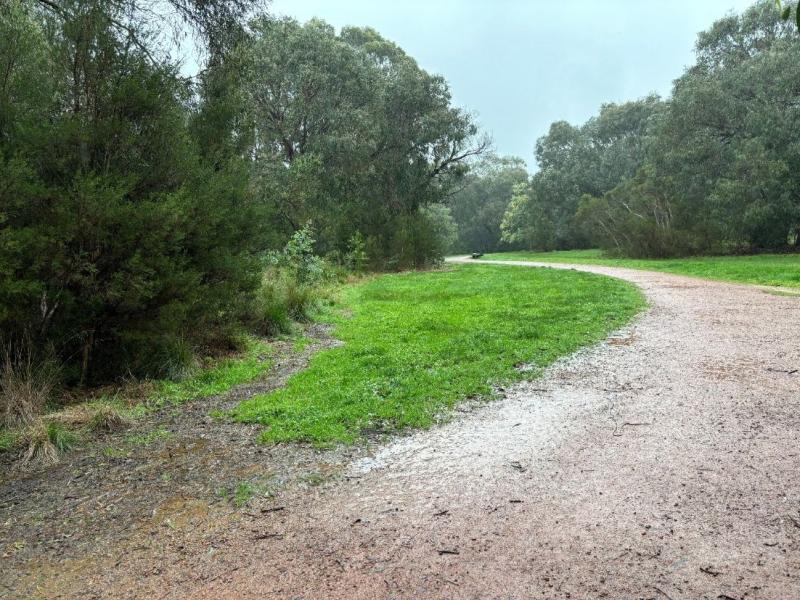 Large trees to left surrounding a small grassed area with clay like path to right of image