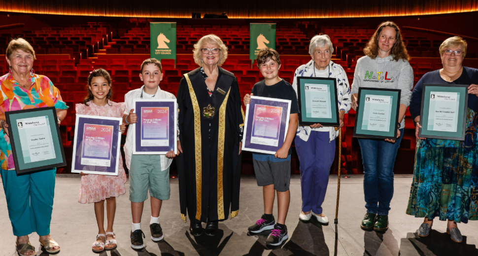 Council Awarded Winners