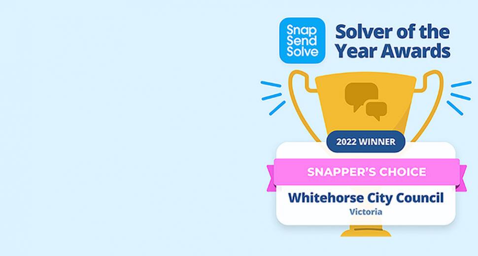 Graphic with winner of Solver of the Year award