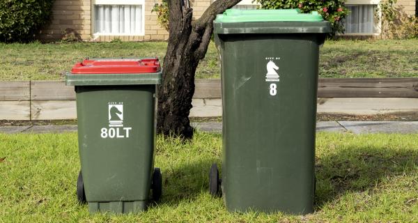 Images of bins out for collection