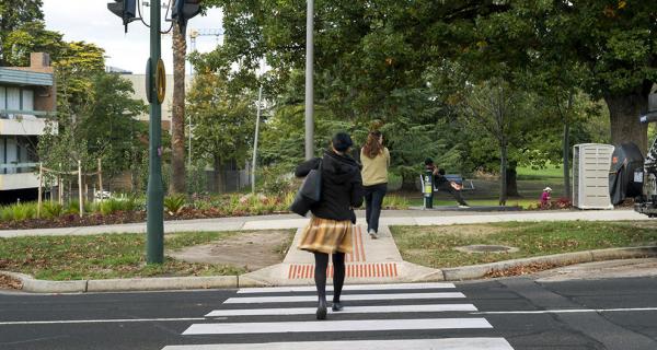 Pedestrian crossing road