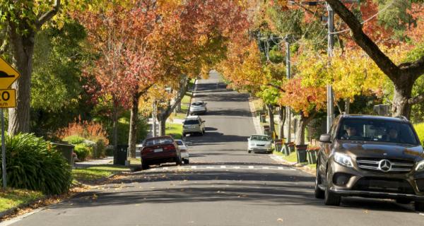 Leafy Street