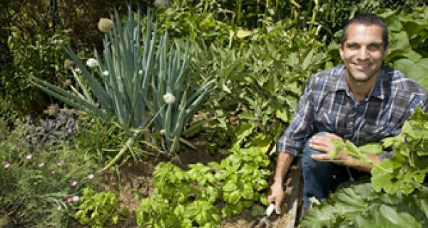 Sustainable Gardening