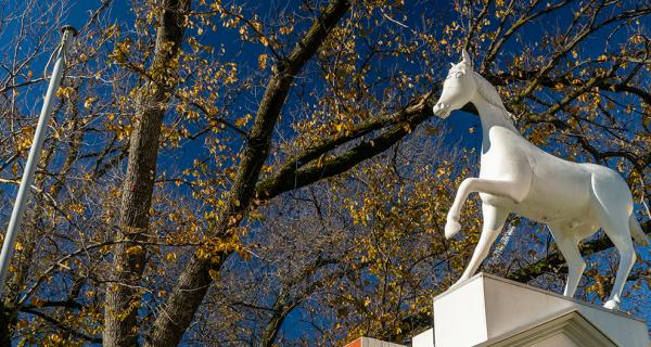 White horse statue