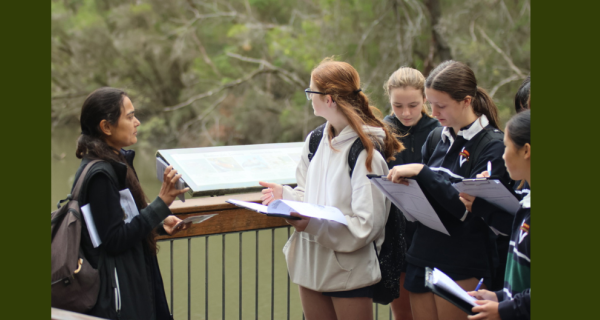 Secondary School students at Blackburn Lake Sanctuary wetlands