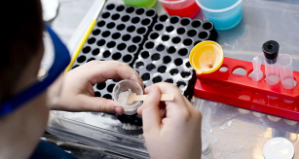BHCAC Science Art Day