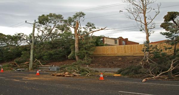 Damaged electrical sub-station Heatherdale Road