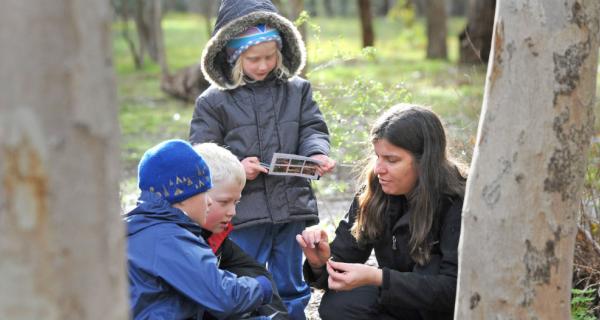 Picture of children exploring nature